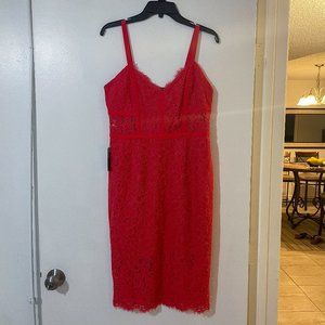 Express Pink Lace Midi Dress